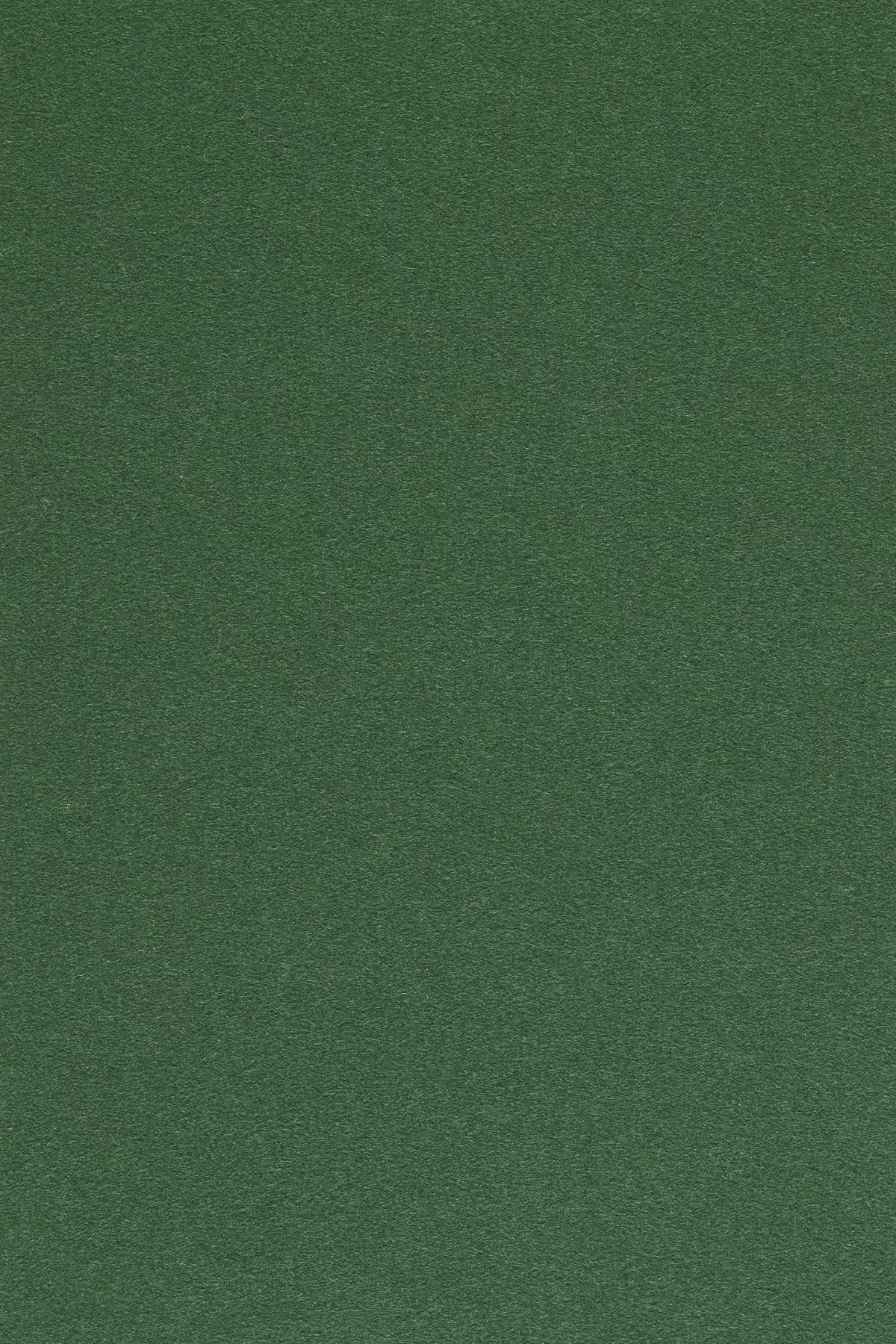 Fabric sample Divina 3 876 green